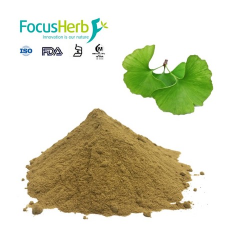 Gingkgo Biloba L.