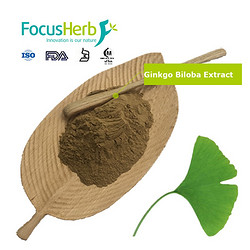 Flavone 24%, Lactones 6% Ginkgo Biloba Extract