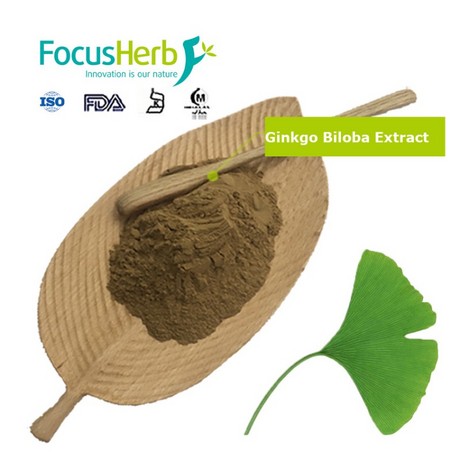 Flavone 24%, Lactones 6% Ginkgo Biloba Extract