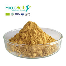 Milk Thistle Extract