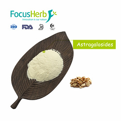 Astragalus Extract Astragaloside IV