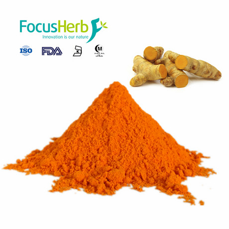 95% Natural Turmeric rhizome extract Powder curcumin