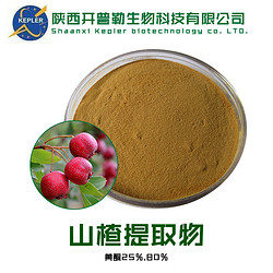 SC工廠保健食品備案生產(chǎn)商山楂果粉  工廠批發(fā) 山楂果粉