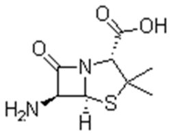 6-氨基青霉烷酸