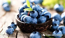 越橘提取物 Bilberry Extract