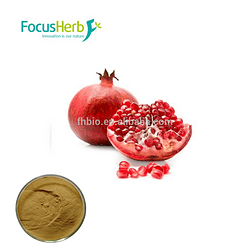 Pomegranate Juice powder