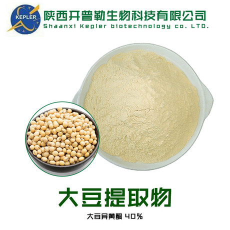 SC工厂保健食品备案生产商大豆提取物  大豆异黄酮40% 工厂批发 大豆提取物