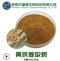 SC工厂保健食品备案生产商黄芪提取物 工厂批发 黄芪提取物