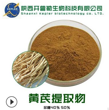 SC工厂保健食品备案生产商黄芪提取物 工厂批发 黄芪提取物
