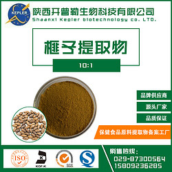 10:1 榧子提取物
