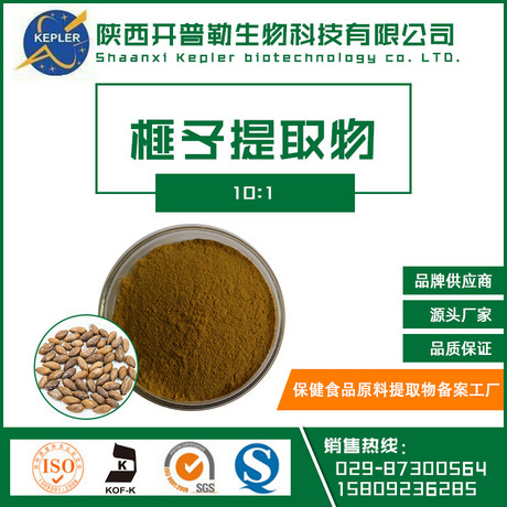10:1 榧子提取物