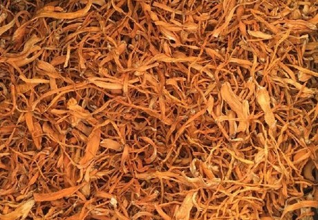 蛹虫草提取物 腺苷 多糖