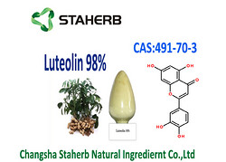 廠家供應(yīng) 木犀草素 98%