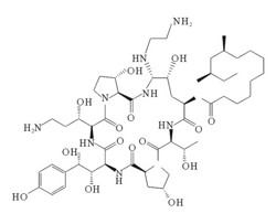 卡泊芬净