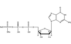 guanosine- 5' triphosphate disodium salt