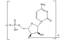 Polycytidylic acid