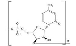 Polycytidylic acid