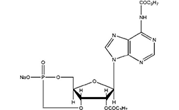 Dibutyryl cyclic AMP sodium salt