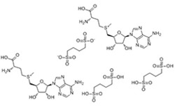 S-Adenosylmethionine 1,4-butanedisulfonate