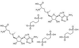 S-Adenosylmethionine 1,4-butanedisulfonate
