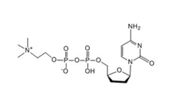 Citicoline