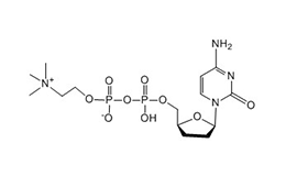 Citicoline
