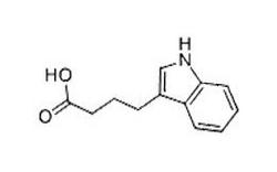 3-吲哚丁酸