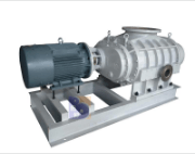 ZJQ2500气冷式罗茨真空泵