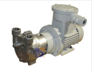 2BV2061-Ex液环真空泵