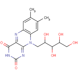 維生素B2