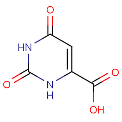 维生素B13(乳清酸)