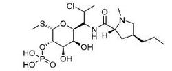 克林霉素磷酸酯
