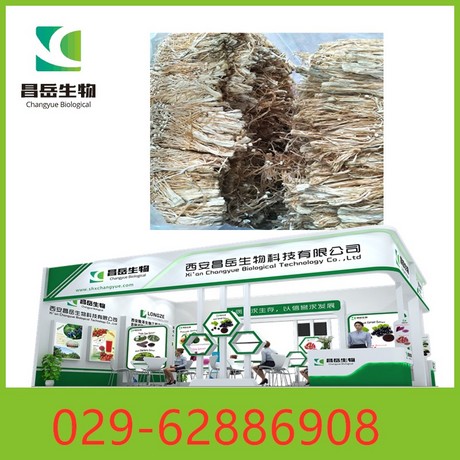 金针菇提取物