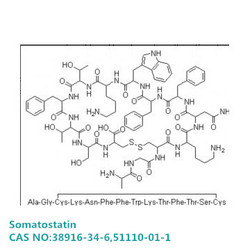 Somatostatin/促生长抑制素/品质保证