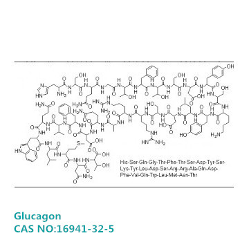 Glucagon 胰高血糖素 CAS:16941-32-5