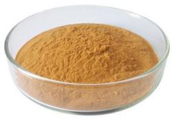 乌龙茶提取物 青茶提取物 粉末10:1 现货供应