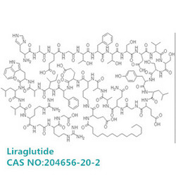 Liraglutide 利拉鲁肽 新型长效GLP-1类似物 2型糖尿病