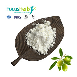 Olive Leaf Extract,Maslinic Acid