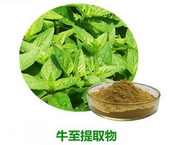 牛至提取物购买批发找 合健生物 专业植提厂家