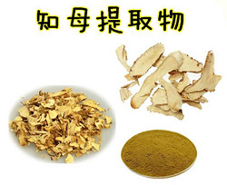 知母提取物 知母皂甙元 规格10:1