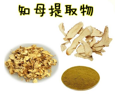 知母提取物 知母皂甙元 规格10:1