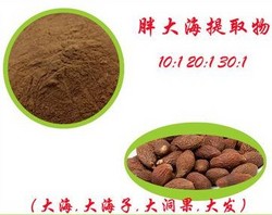 胖大海提取物 大海子 大洞果 植物提取物供应