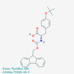 天然氨基酸及其衍生物 Fmoc-Tyr(tBu)-OH