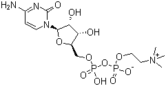 胞磷胆碱