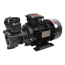 热水热油旋涡泵