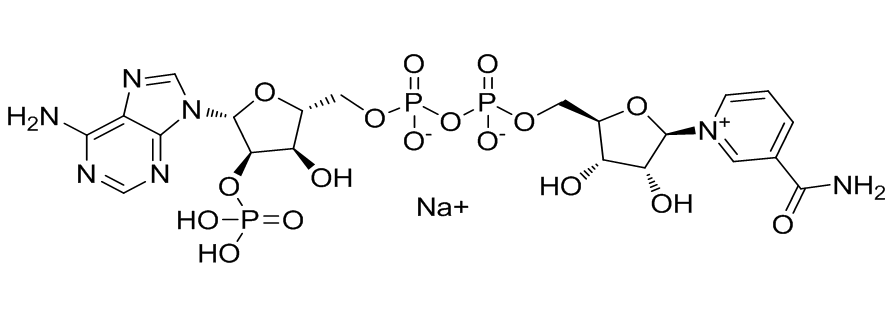 辅酶NADP钠盐