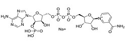 輔酶NADP鈉鹽