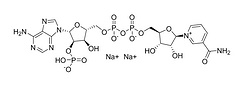 辅酶NADP二钠盐