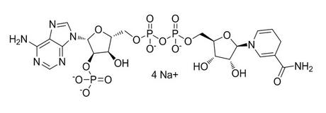 NADPH