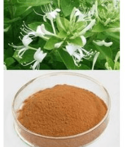 金银花提取物